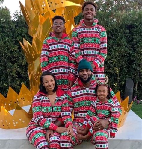 aaron mcclelland|lebron james family tree.